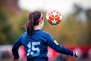 2026世界杯48强巡礼·厄瓜多尔：铜墙铁壁的南美雄狮（配图示意）